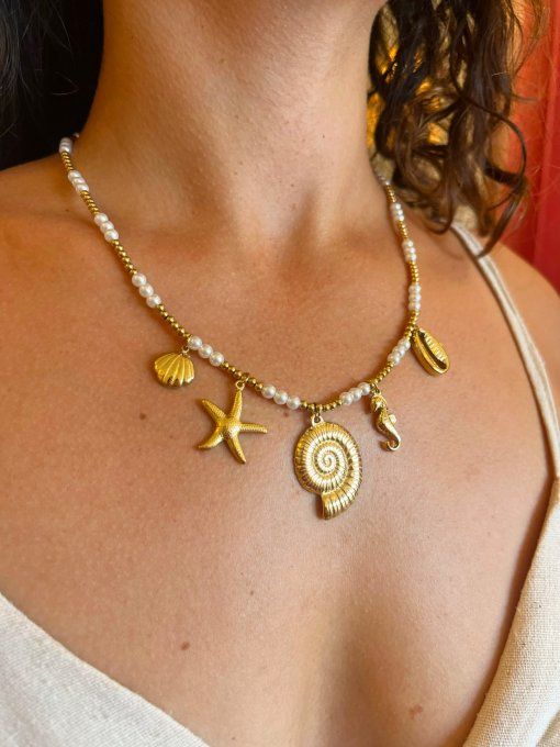 Collier Coquillage