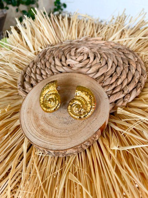Boucles d'oreilles Carla