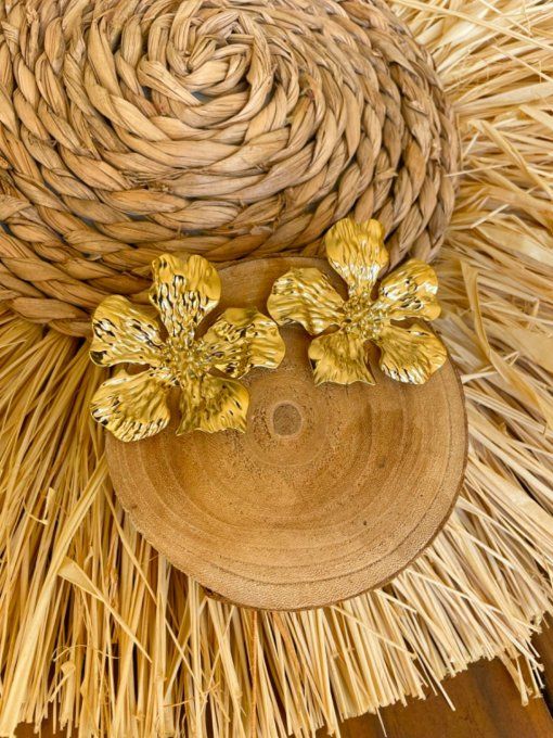 Boucles d’oreilles Éliana