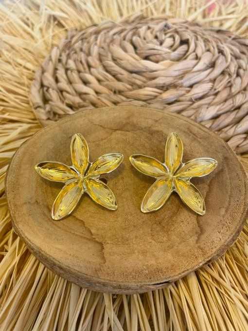 Boucles d oreilles Charline 
