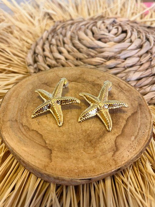 Boucles d'oreilles Leïla