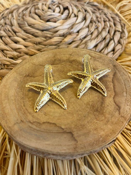 Boucles d'oreilles Leïla